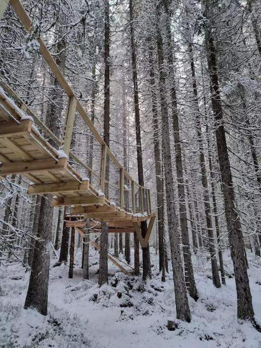 Treetop Ekne - Hytte I Skogen Med Hengebru Hotel Levanger Exterior photo
