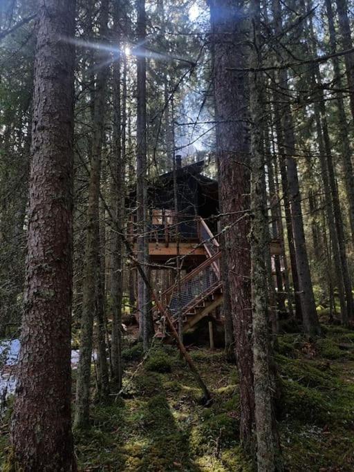 Treetop Ekne - Hytte I Skogen Med Hengebru Hotel Levanger Exterior photo