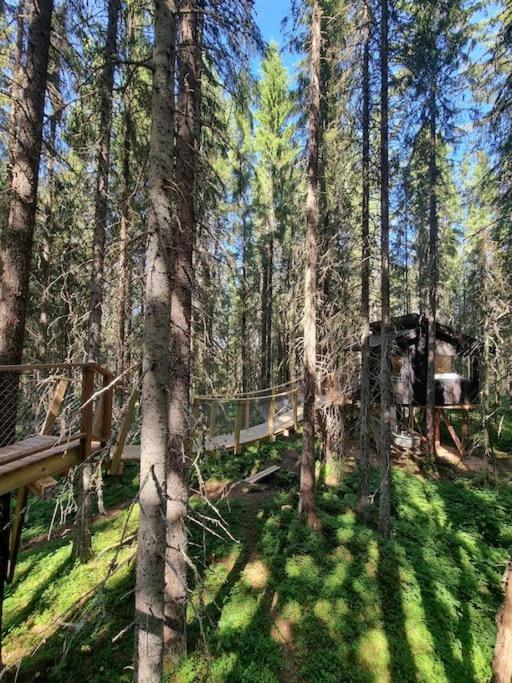 Treetop Ekne - Hytte I Skogen Med Hengebru Hotel Levanger Exterior photo