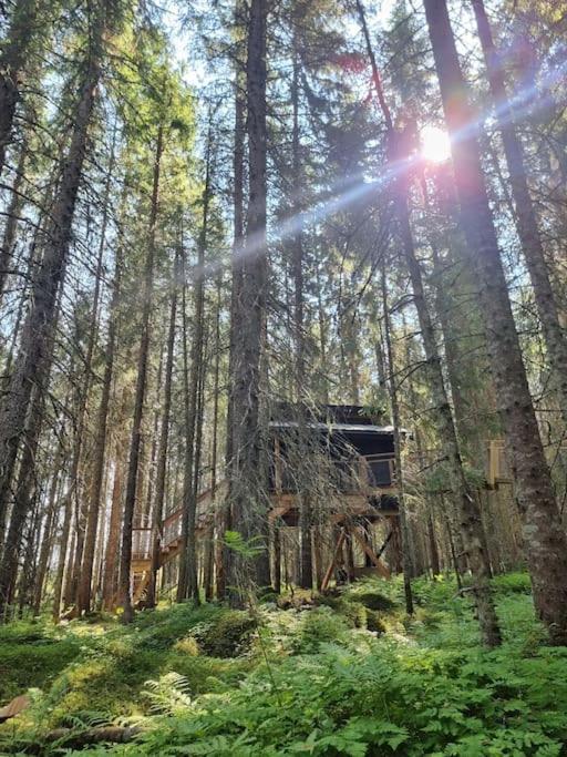 Treetop Ekne - Hytte I Skogen Med Hengebru Hotel Levanger Exterior photo